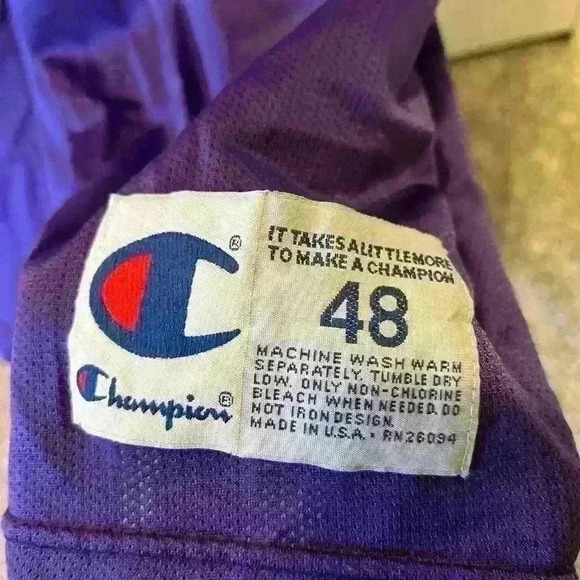 VTG Champion Charlotte Hornets NBA Basketball Jersey Larry Johnson - Picture 3 of 3